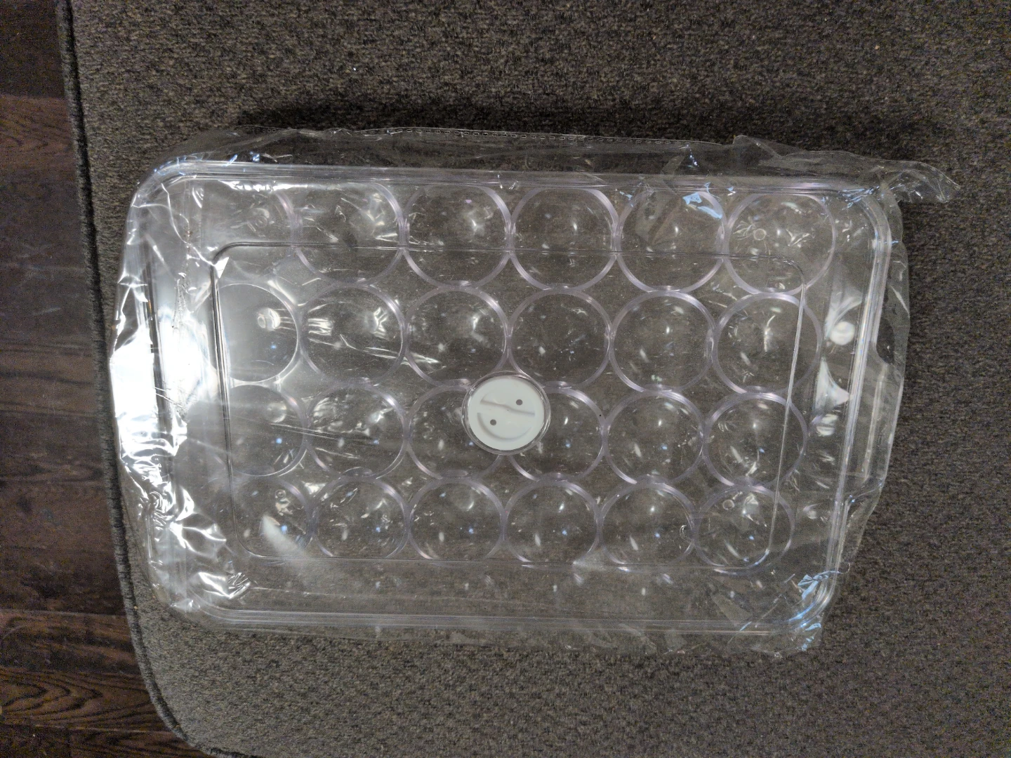 Clear Plastic Egg Holder Container