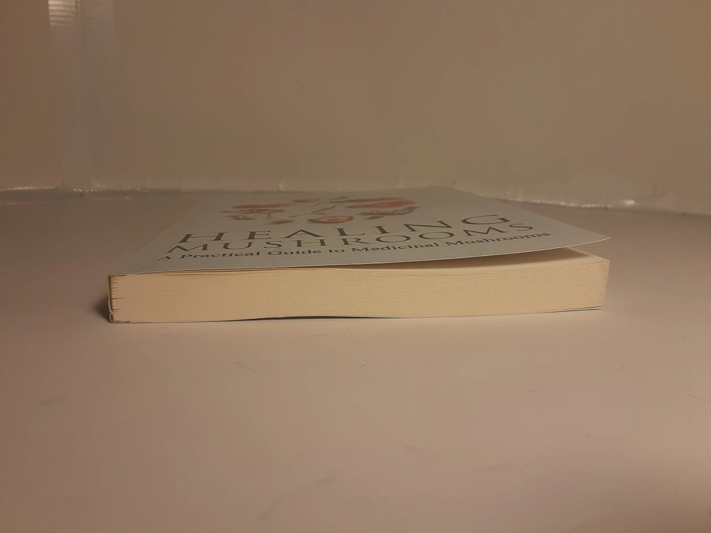 Healing Mushrooms: A Practical Guide - photo 3