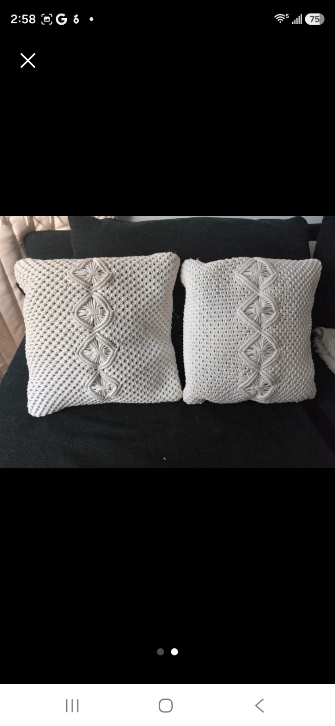 Set of 2 Macrame Throw Pillows