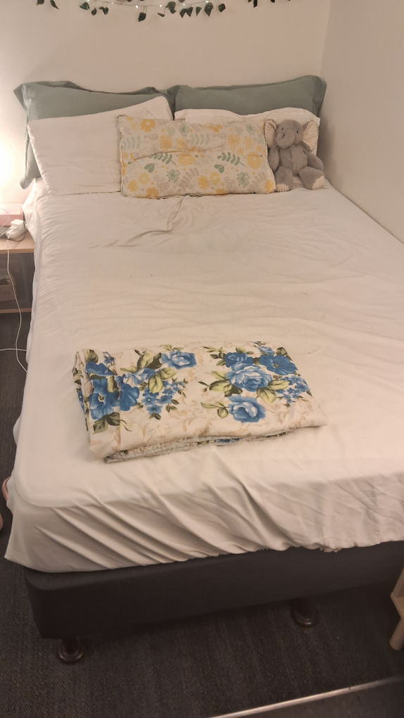 Moving Sale: Bed Base and Sofa Chair