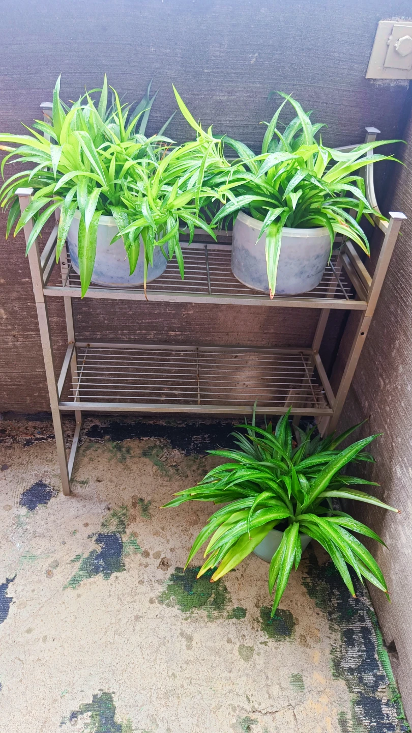 Metal Stand shelf