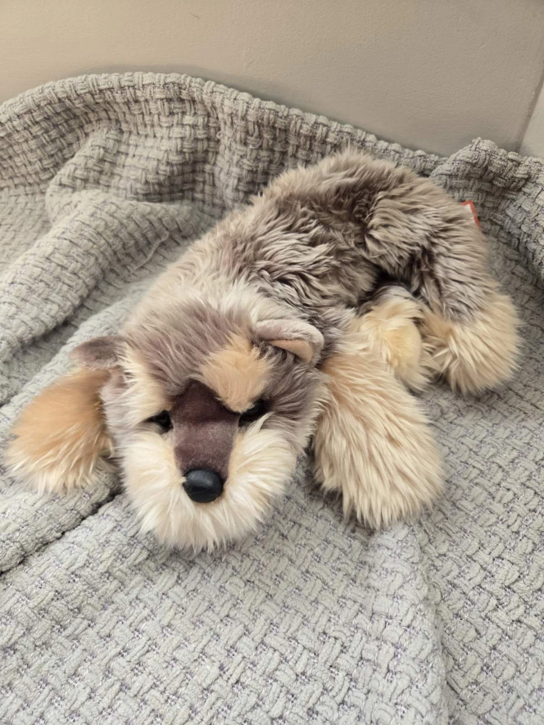 Douglas Cuddle Toy Dog Plush