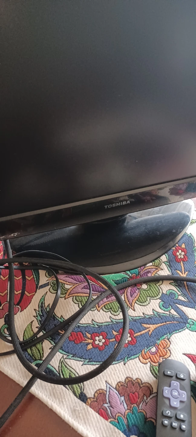 Toshiba 25" TV with Roku Streaming Stick - photo 5