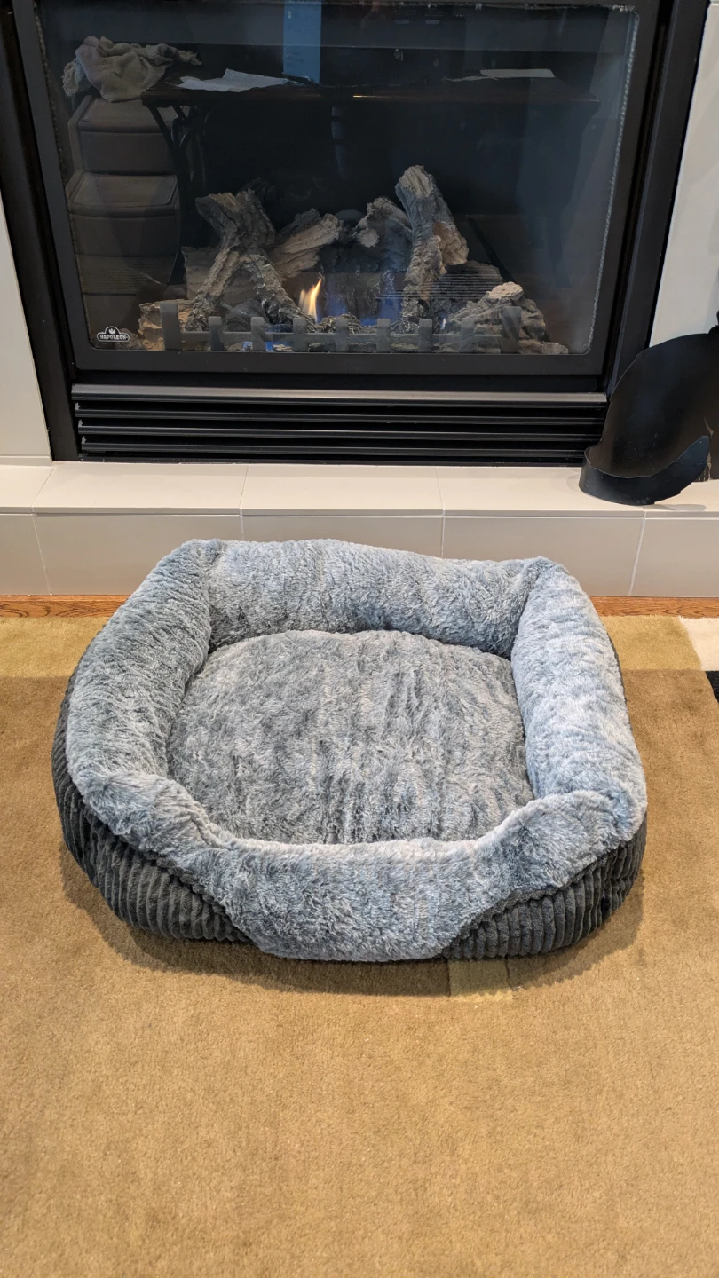 NEW PET BED🌱