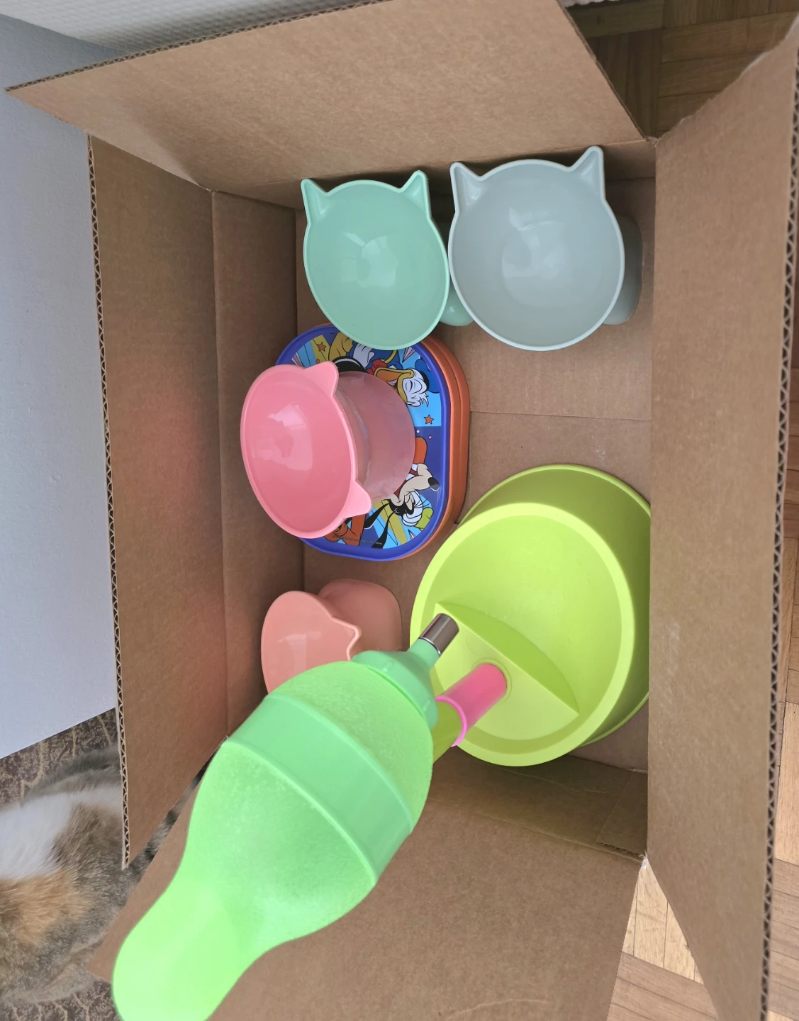 Cat-shaped Bowls and Pet Feeder Set - photo 2
