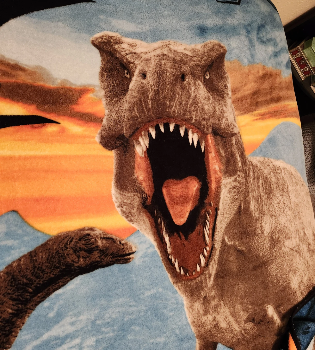 Jurassic World Dinosaur Blanket - photo 5