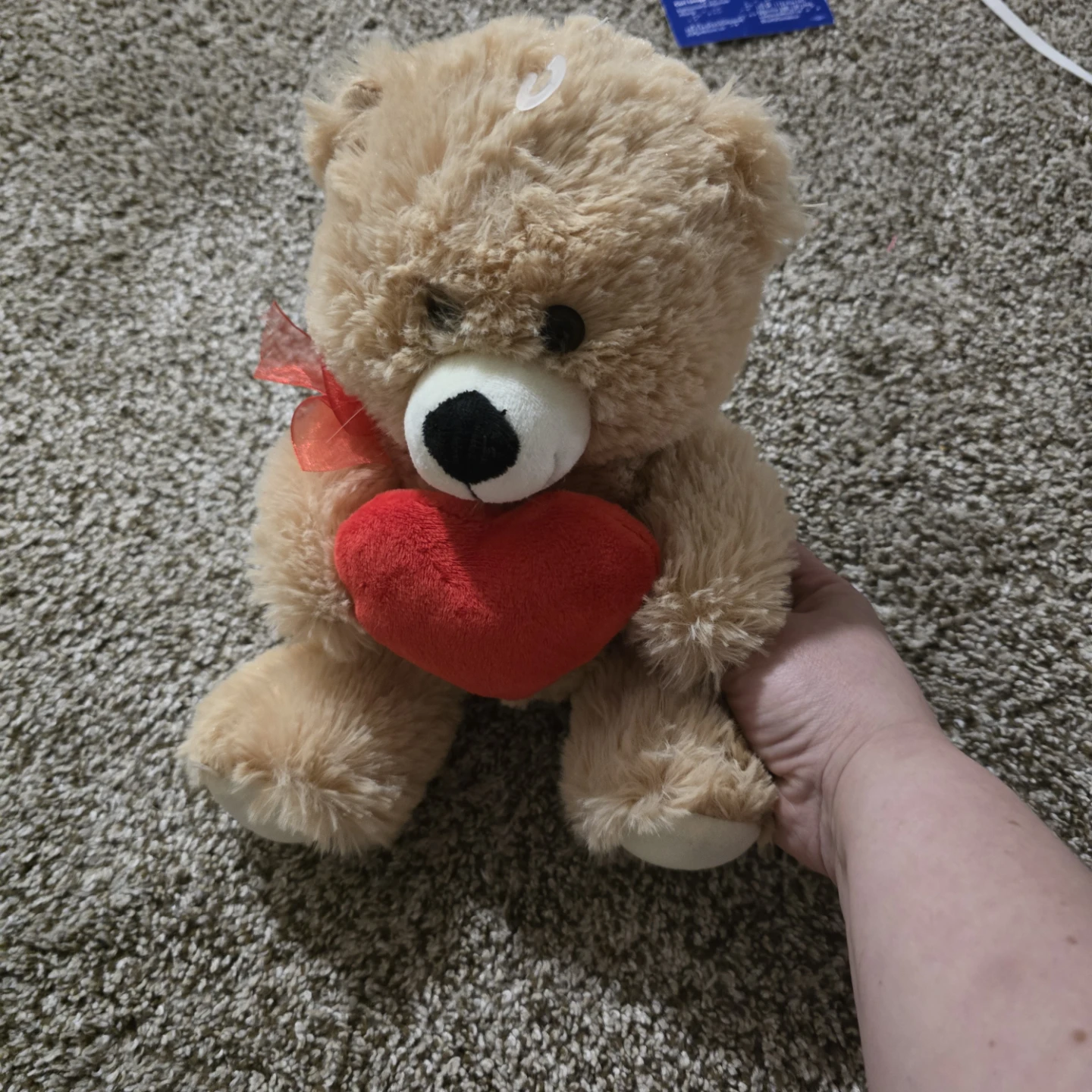 Plush Teddy Bear with Heart