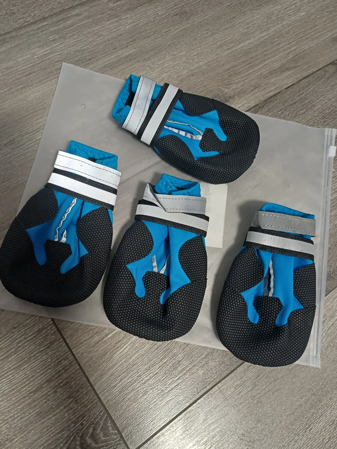 Blue Dog Boots - Size XXL