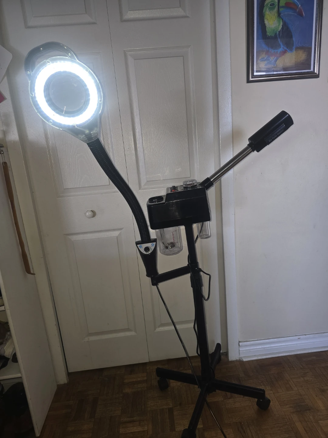 Hot Facial Atomizer Steamer with Magnifying Lamp