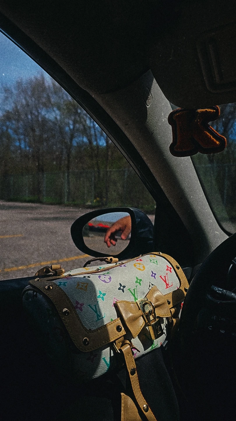 Louis Vuitton x markami edition - photo 2