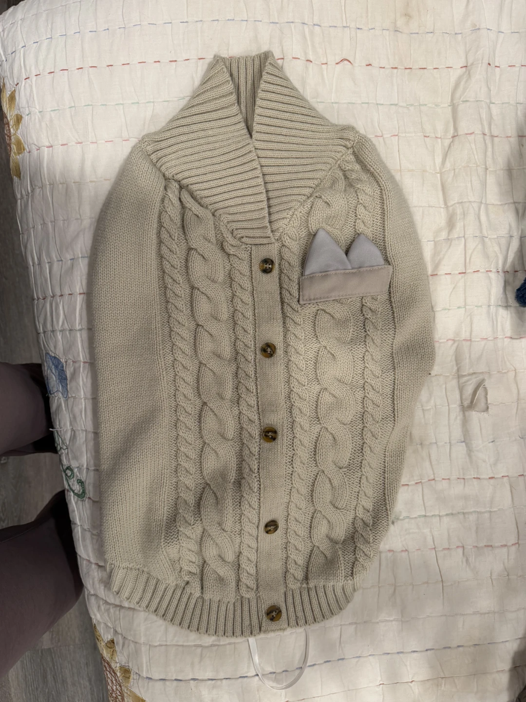 Knit Cable Cardigan dog sweater