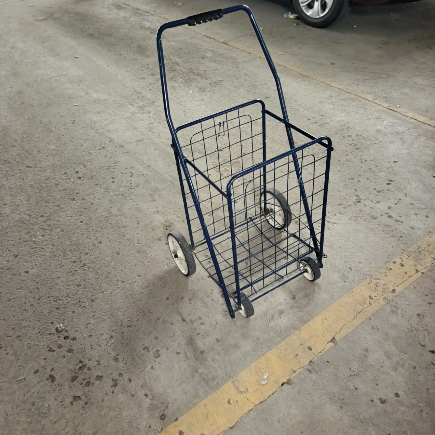 Blue Wire Shopping Cart