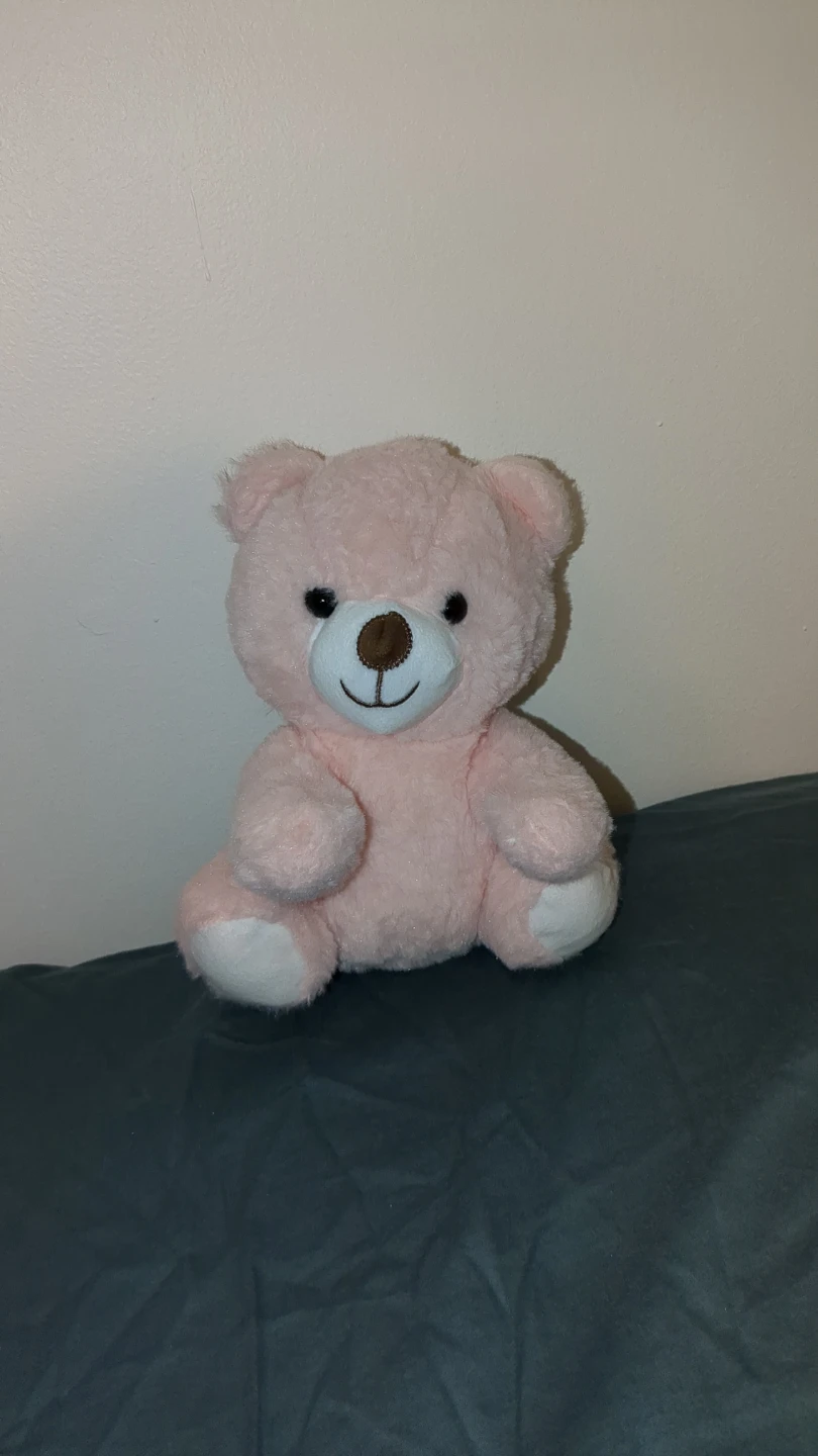 Pink Teddy Bear Plush Toy