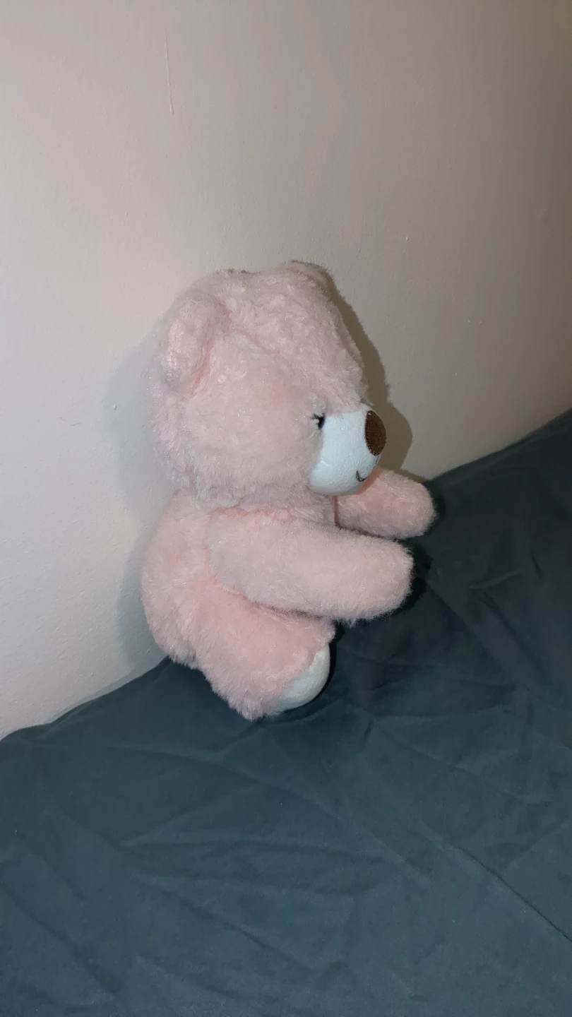 Pink Teddy Bear Plush Toy - photo 2