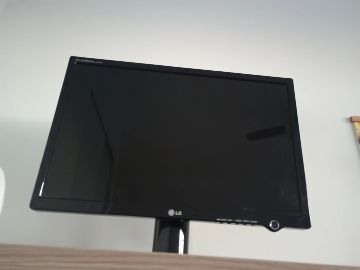 LG Flatron Monitor