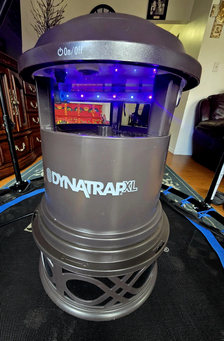 DynaTrap XL Insect Trap
