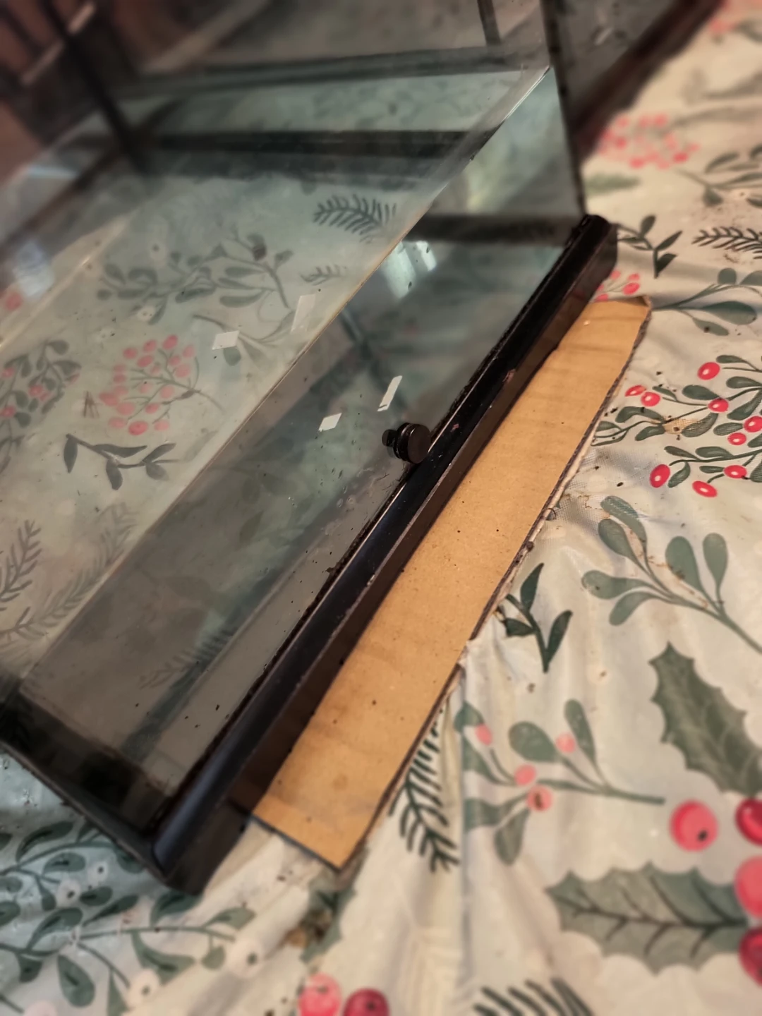Glass Terrarium Tank with Front Opening Doors - photo 4