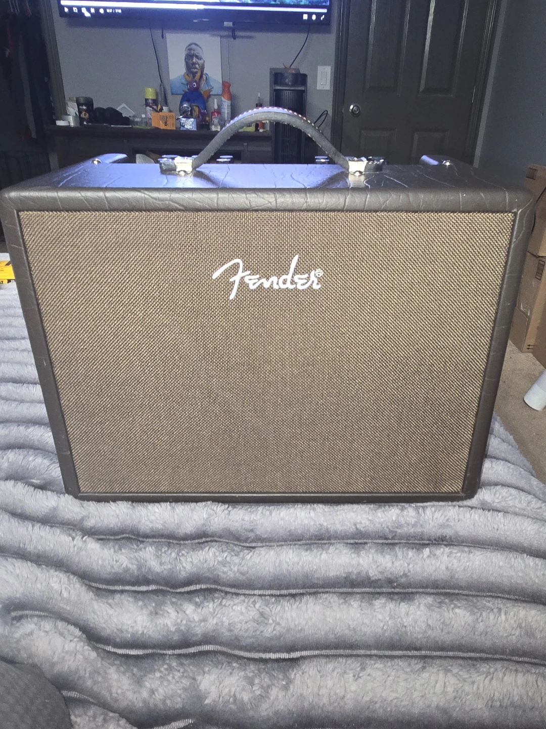 Fender Acoustic Junior Guitar Amplifier