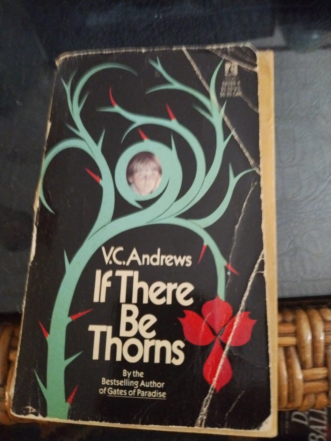 V.C. Andrews If There Be Thorns Book