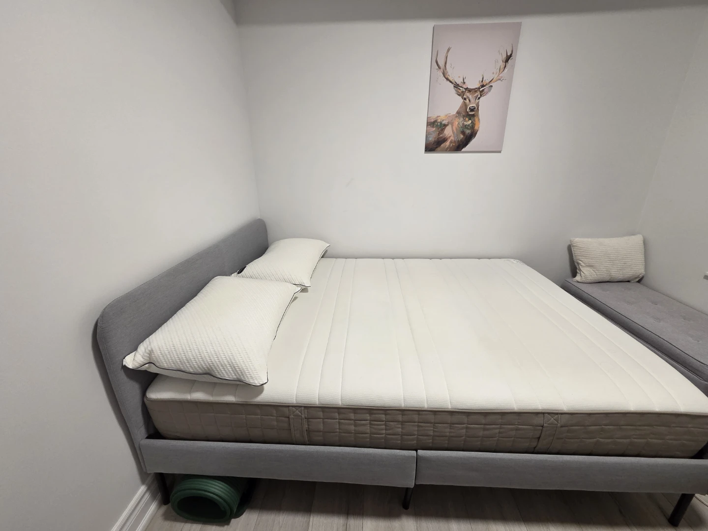Full Size IKEA Bed Frame + Mattress (Great Condition)