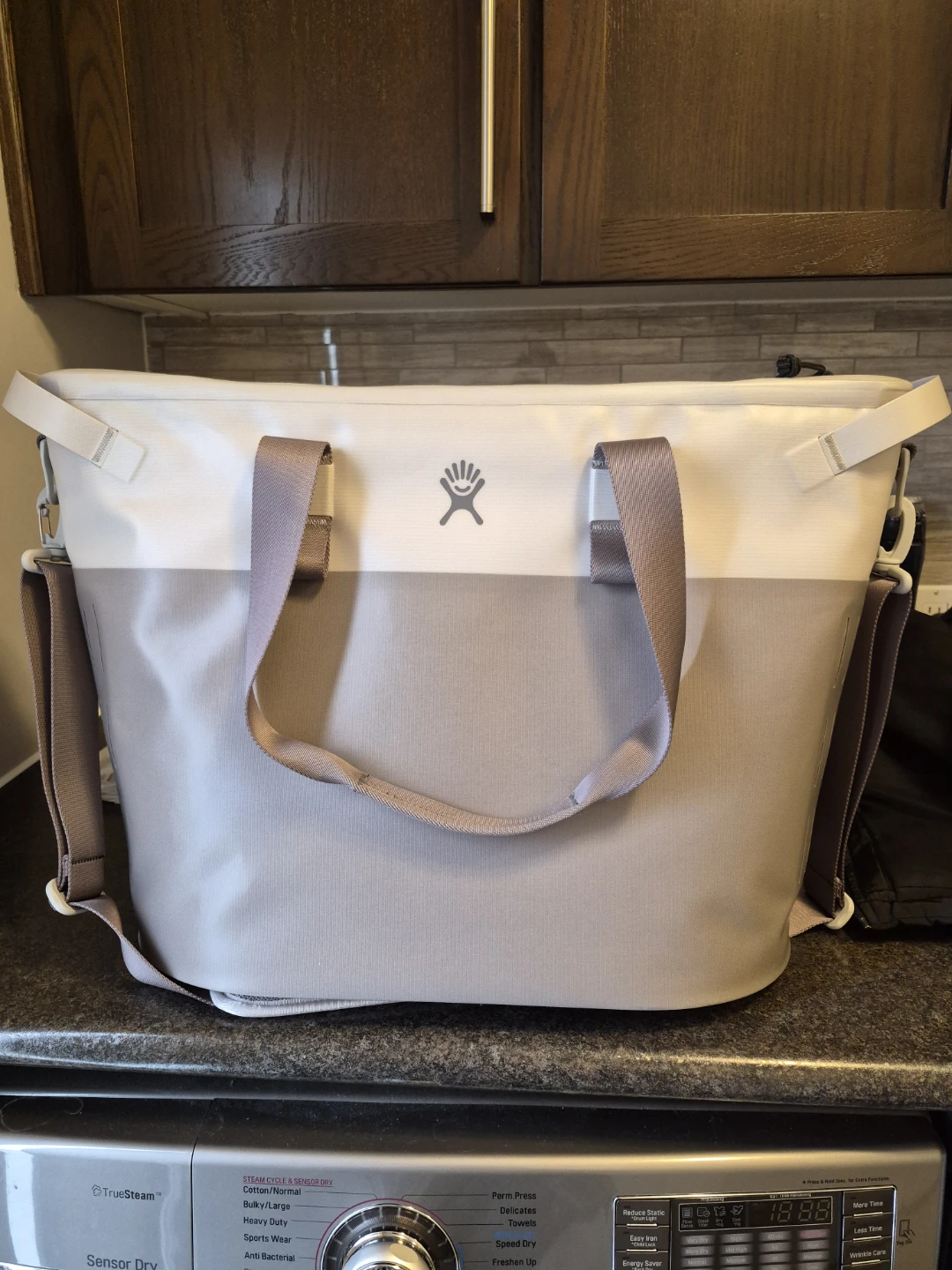 Hydro Flask Insulated Tote Bag