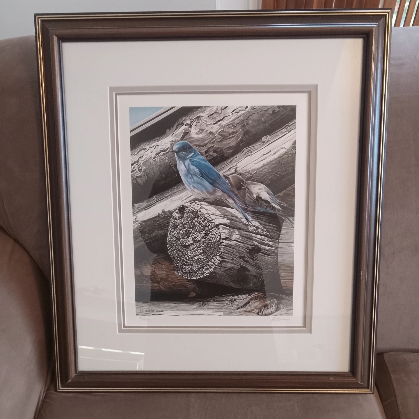 R S Parker Weathered Wood Bluebird Limited Edition Print