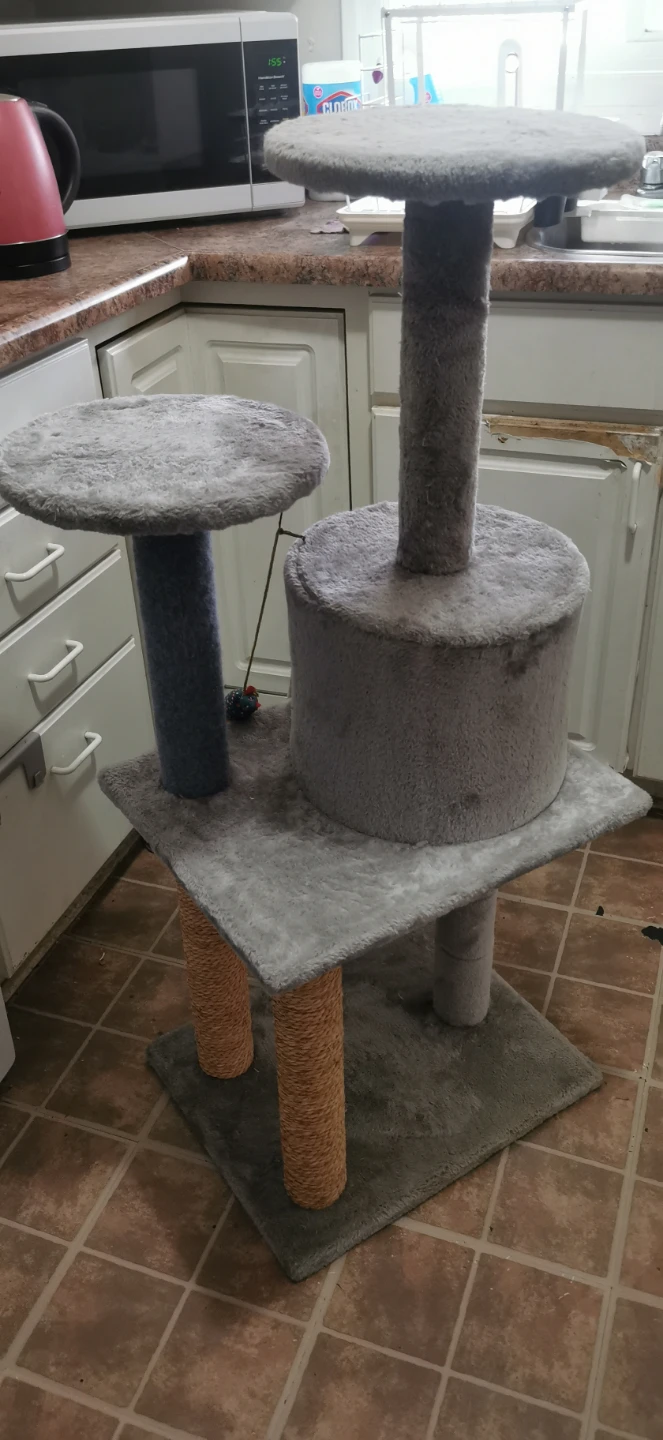 Multi-level Cat Tree Condo with Scratching Pad