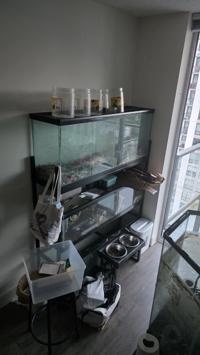 Multi-level Tank Stand