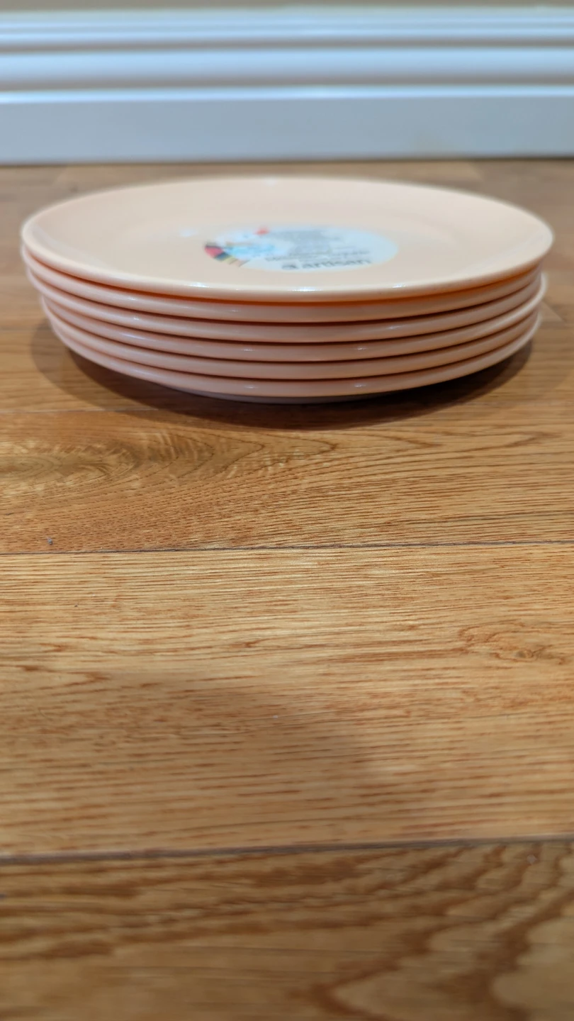 Melamine Dinner Plates - 25+ dishes - photo 3