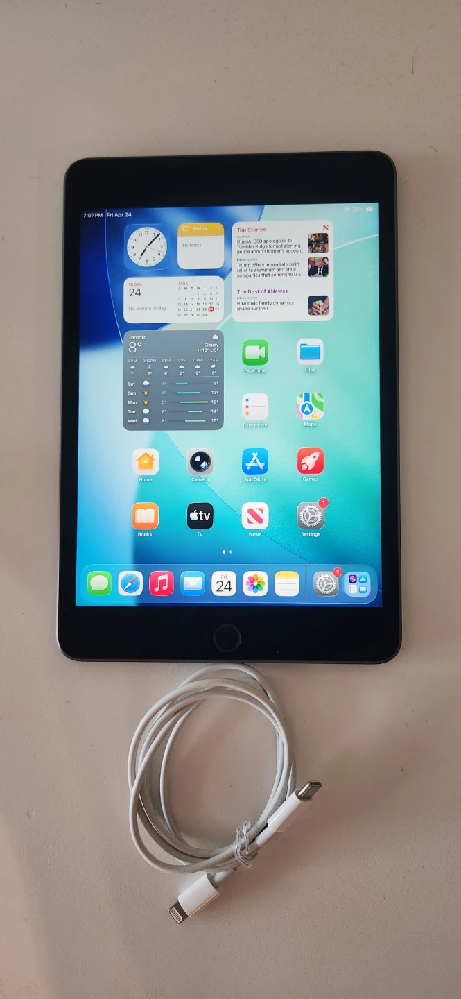 Apple iPad Mini (5th Gen) 64GB Wi-Fi Space Grey