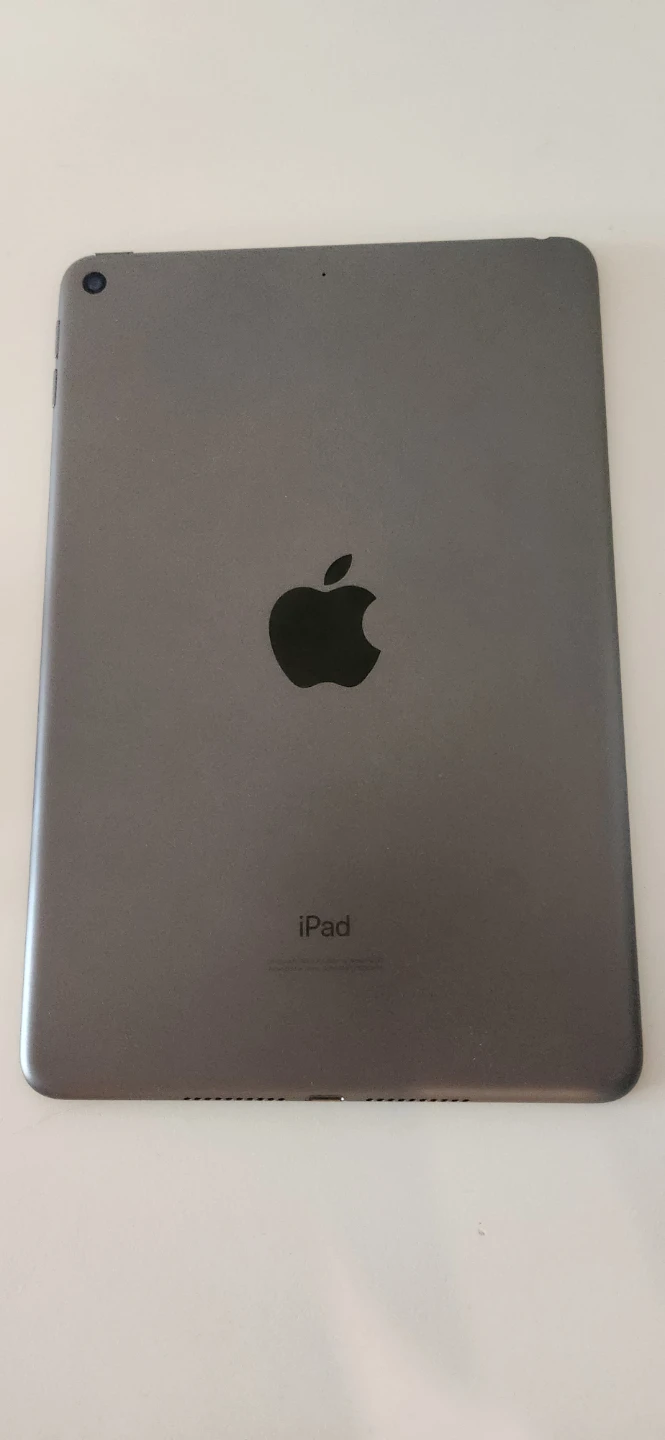 Apple iPad Mini (5th Gen) 64GB Wi-Fi Space Grey - photo 4