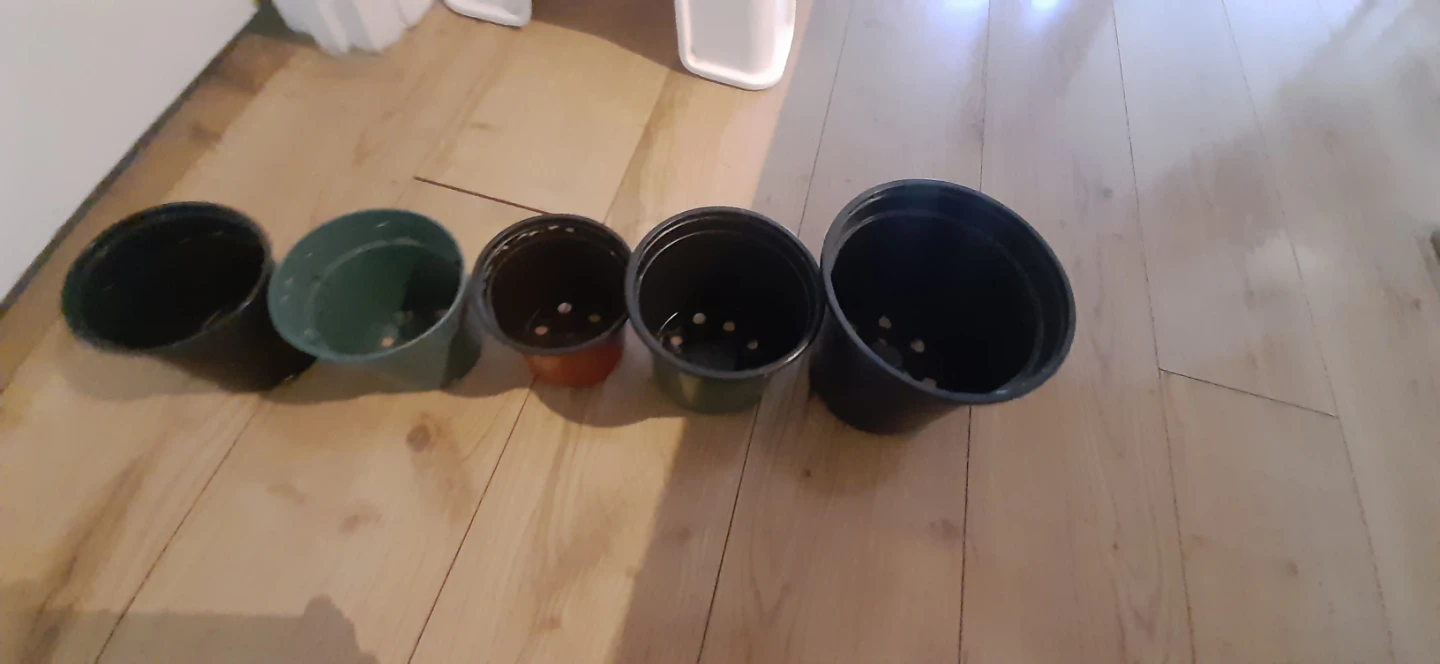 Pots for plants - photo 3