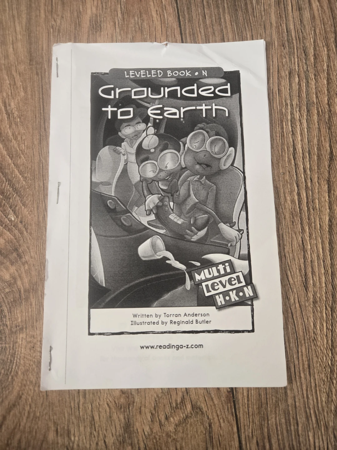 Grounded to Earth Leveled Book N