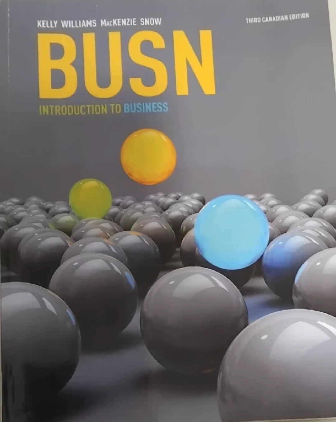 BUSN Introduction to Business, Third Canadian Edition - photo 2