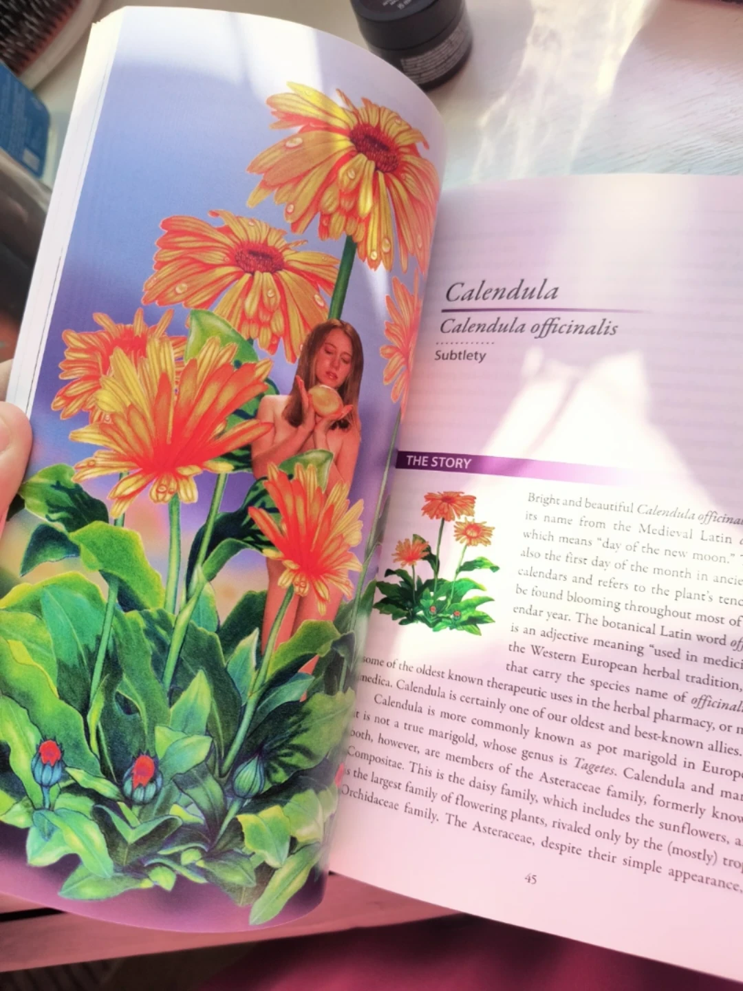 Wisdom of the Plant Devas Herbal Medicine Book - photo 2