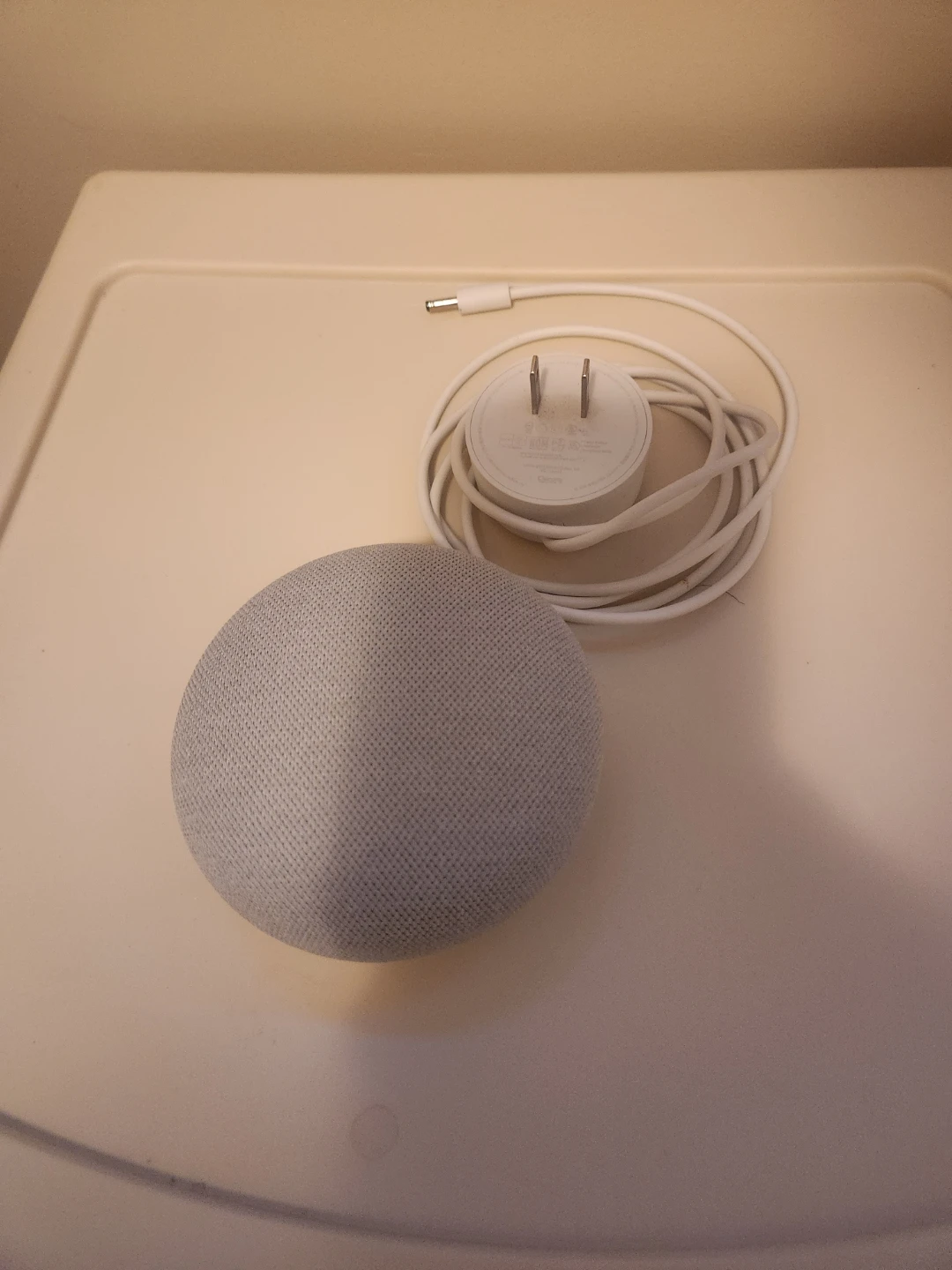 Google Nest Mini with Power Adapter