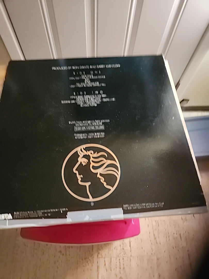 Barry Manilow One Voice Vinyl Record - photo 2