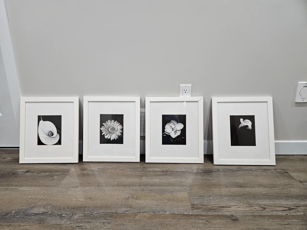 Set of 4 Black and White Floral Framed Prints