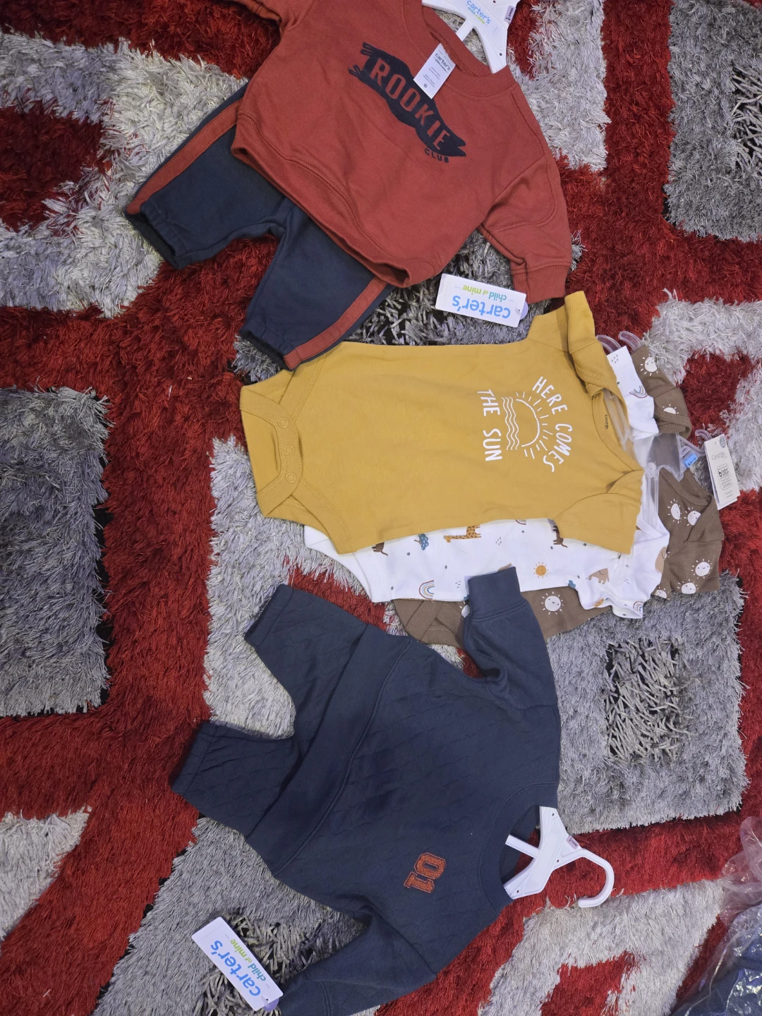 Carter's Baby Clothes Set (3 Bodysuits & Sweatshirt)
