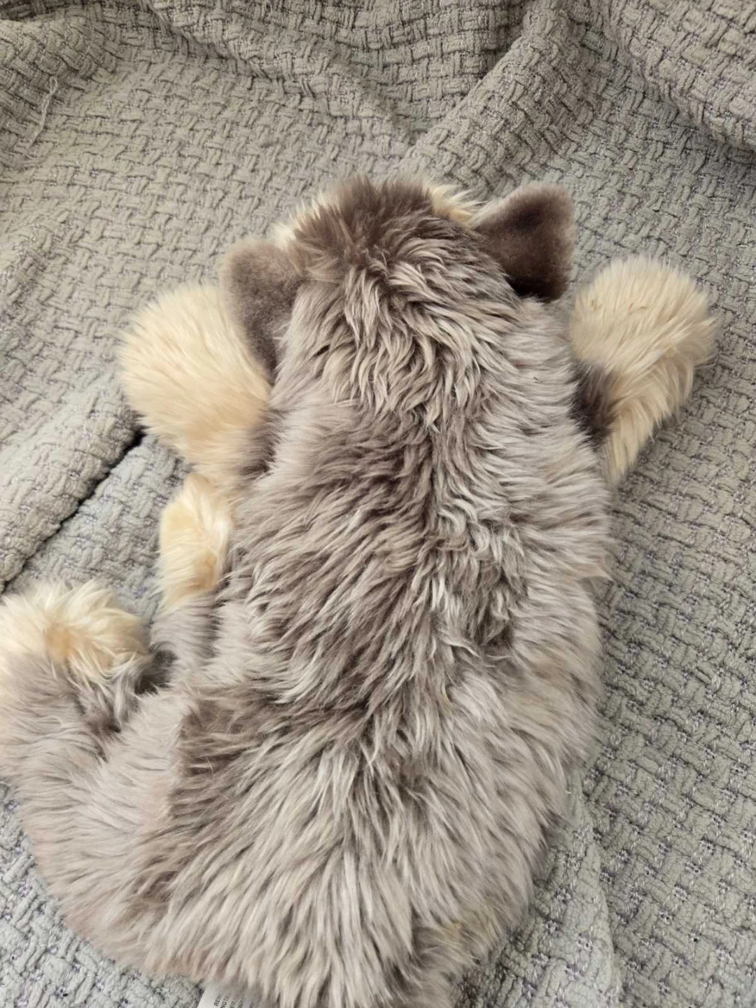 Douglas Cuddle Toy Dog Plush - photo 3