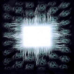 Tool - Aenima 🌱