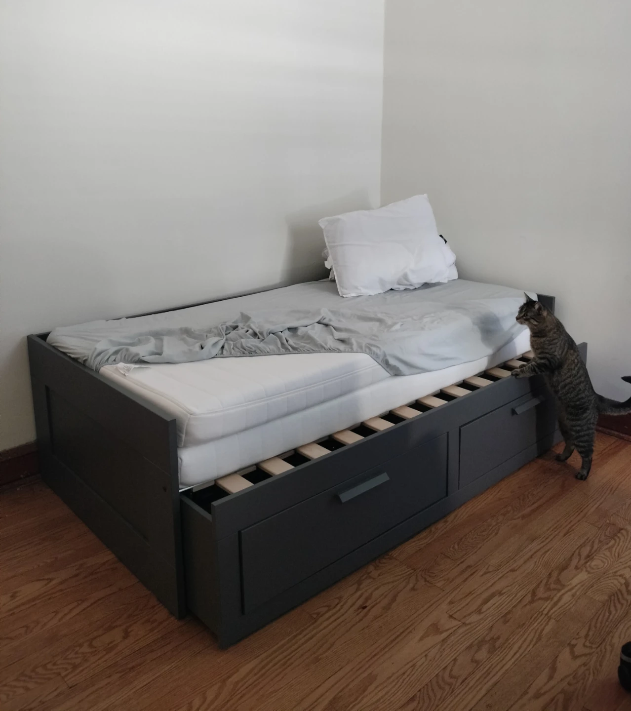 IKEA BRIMNES daybed with storage