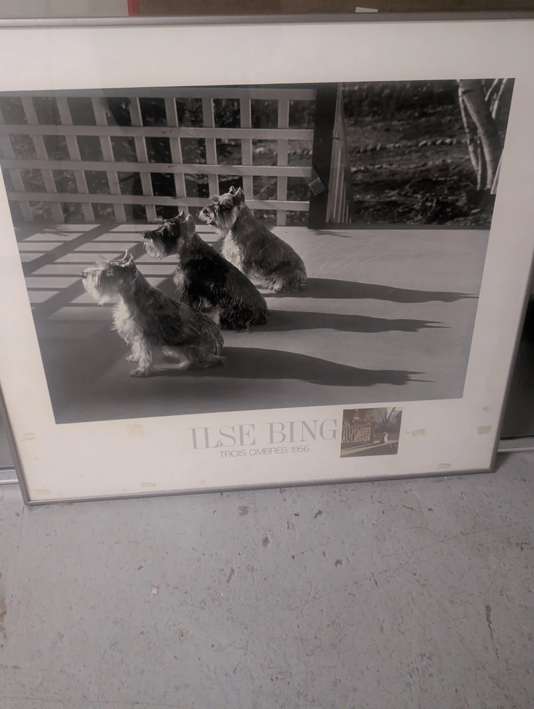 Pictures Fram - photo 5