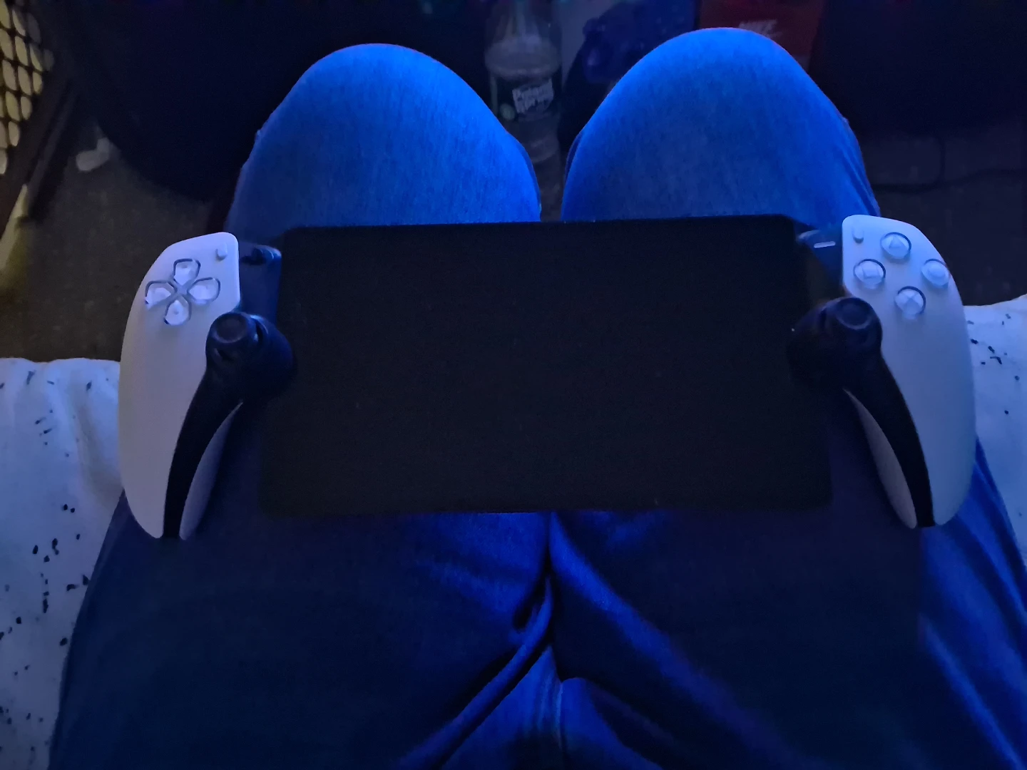 Playstation Portal