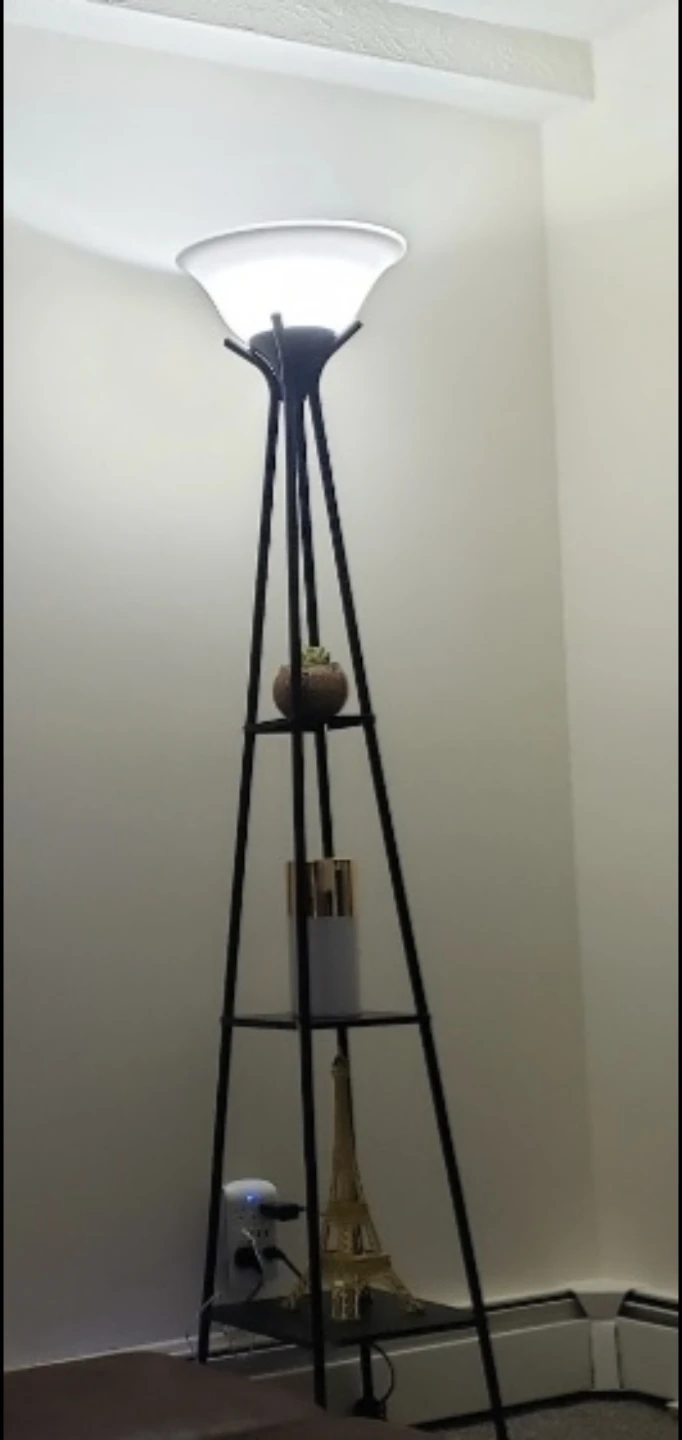 Tall Black Floor Lamp with Shelves