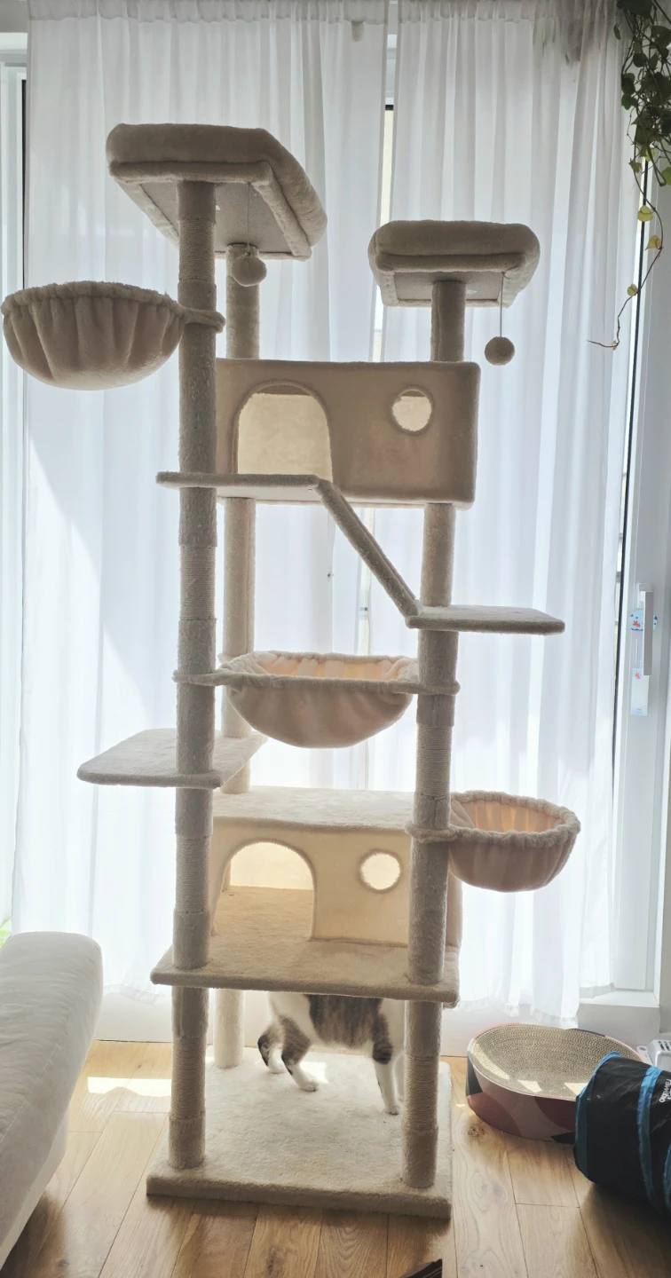 Allevie 81 Inches Tall Cat Tree Condo Beige - photo 2