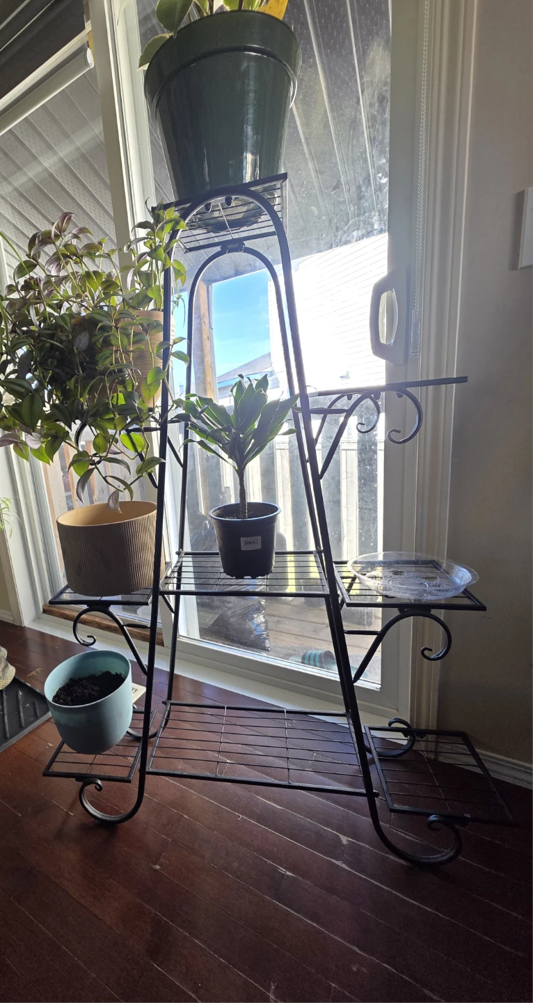 Black Metal 9 Tiered Plant Stand - photo 2