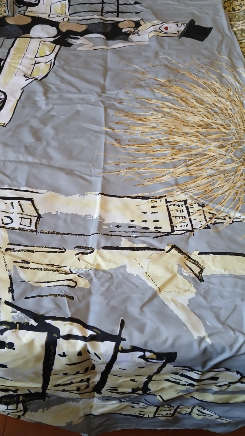 Banner or curtain for $5.00 each - photo 2