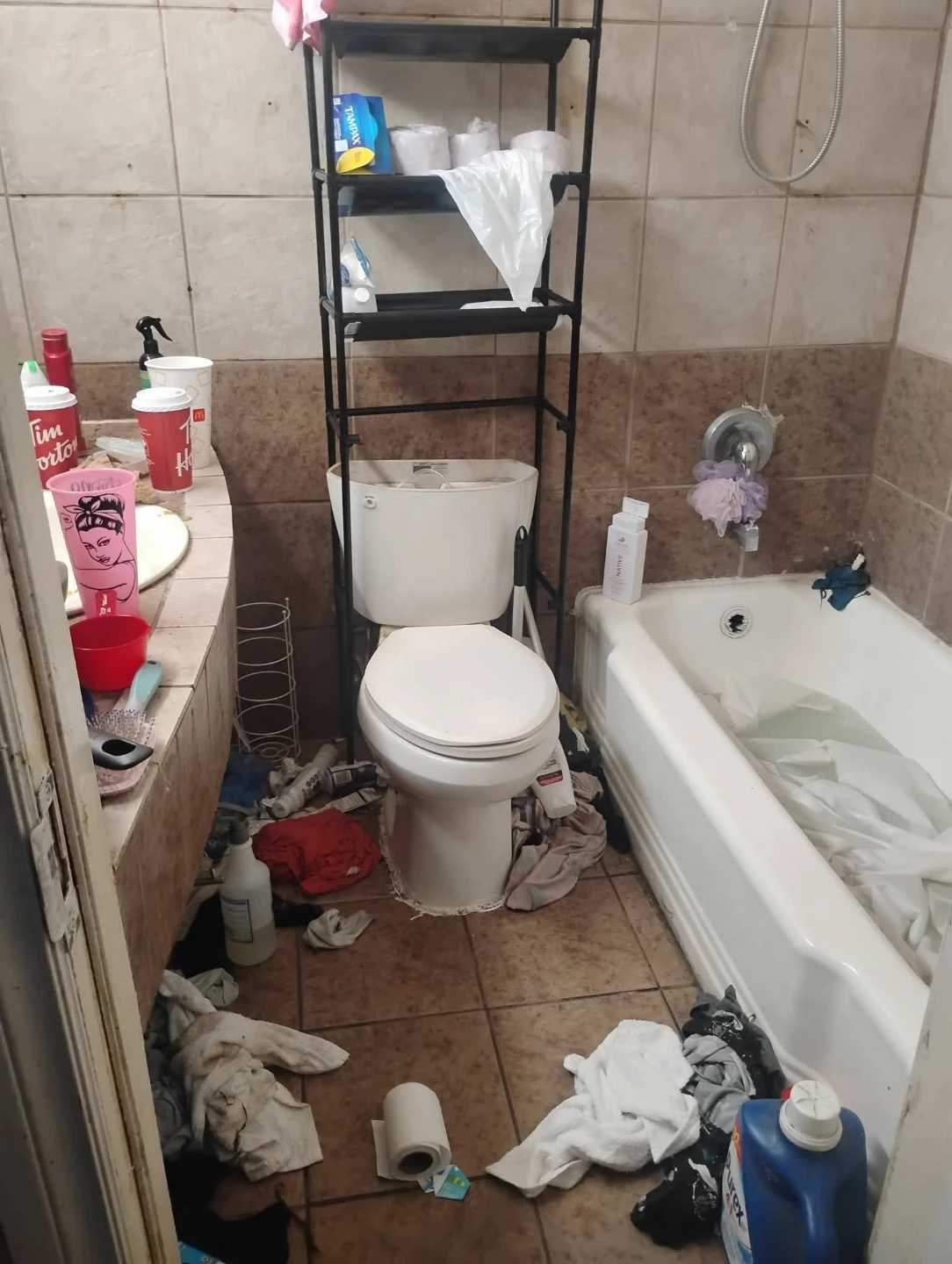JD Chaos Fixer Services 🌱 - photo 4