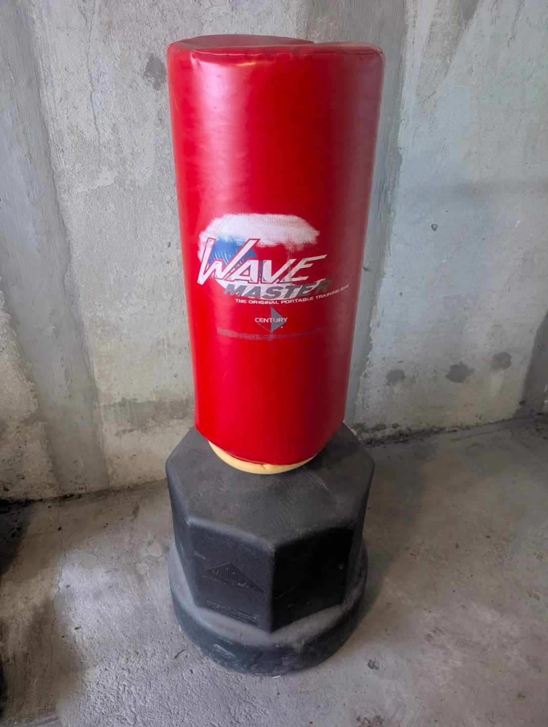 Century Wavemaster punching bag with Everlast training gloves